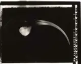 Small Portrait of a Fugitive by Fiona Pardington, gelatin silver print, 1/7, sold Apr 2008