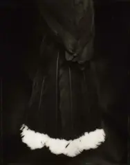 Fiona Pardington, Ake Ake Huia, gelatin silver print, a/p