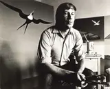 Marti Friedlander, Portrait of Don Binney