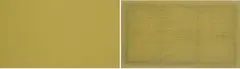 Noel Ivanoff, Picture Plane - Grapefruit Peel 1, acrylic on glass and panel, diptych