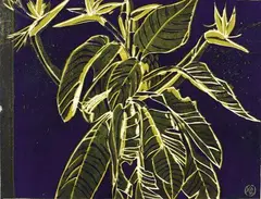 Noelle Palmer, Bird of Paradise, linocut