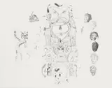 Shane Cotton, Veil, lithograph, 6/40