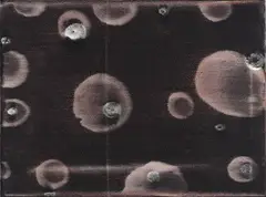 Small Orbit No. 6 by Luise Fong, mixed media on canvas, diptych, sold Feb 2008