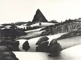 Don Binney, Maungaroha Print