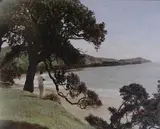 Hall, Waikanae Beach, Bay of Plenty, hand-coloured photograph