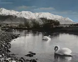 Ellis Dudgeon, Swan Lake, Kaikoura, hand-coloured photograph