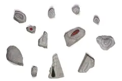 Three Beginnings by Peter Robinson and Shane Cotton, acrylic on papa, sedimentary stone, offered Oct 2007