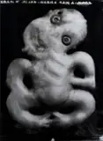 Fiona Pardington, Hei Tiki, North Island (Provenance Unknown)
