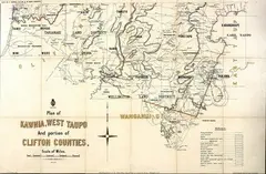 G. P. Wilson, Plan of Kawhia, West Taupo and Portion of Clifton Counties, hand-coloured lithograph