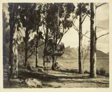 George Chance, Lake Wakatipu from Queenstown