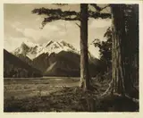 George Chance, Eglington River - Milford Sound Highway
