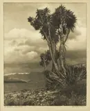George Chance, The Sentinels - Lake Hawea