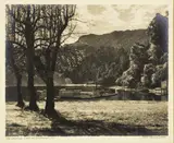 George Chance, The Landing - Lake Waikaremoana, gelatin silver print exposed through a textured screen