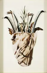 Megan Jenkinson, Witches Apron - Florentina Pectora (Flowering Hearts Series), photographic collage
