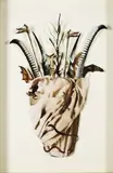 Megan Jenkinson, Witches Apron - Florentina Pectora (Flowering Hearts Series), photographic collage