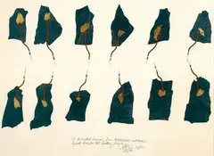 Andrew Drummond, 12 Activated Sensors, mixed media on paper