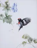 Brent Harvey, Study of a Robin, watercolour, ink and bodycolour on paper