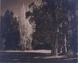 George Chance, Fairy Sentinels - Taupo