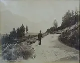 Burton Bros, On the Frankton Road - Lake Wanaka, albumen print