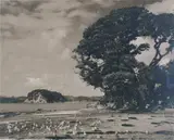 George Chance, Paihai Beach - North Auckland