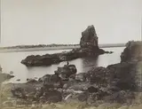 Frank Arnold Coxhead, Shag Rock - Sumner, Christchurch, albumen print