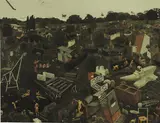Andrew McLeod, Parkscape II