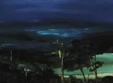 John Walsh, Tanetanga II