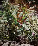 Karl Maughn, Christchurch, oil on canvas