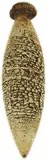 Len Castle, umber pigmented earthenware wall vase