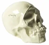 Martin Poppelwell, White Skull