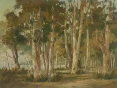 John Charles Allcot, Trees at Long Jetty, Oil on Canvas on Board