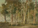 John Charles Allcot, Trees at Long Jetty, Oil on Canvas on Board