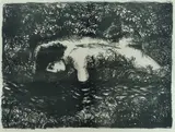 Hermia Boyd, Narcissus, Lithograph 36/50