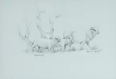 Kevin Best, Twins, c.1995, Pencil