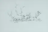 Kevin Best, Twins, c.1995, Pencil