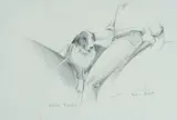 Kevin Best, Dog Tired, c.1995, Pencil