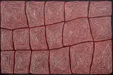 Thomas Tjapaltjarri, Tingari, 2023, Acrylic on Belgian Linen