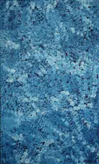 Polly Ngale, Bush Plum, 2019, Acrylic on Canvas
