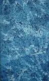 Polly Ngale, Bush Plum, 2019, Acrylic on Canvas