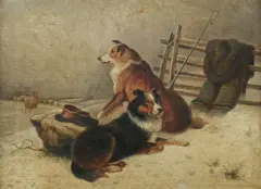 J.D. Morris, Collie Dogs with Flock, Oil on Canvas