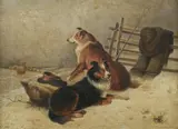J.D. Morris, Collie Dogs with Flock, Oil on Canvas