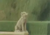 Peter Boggs, Villa Gamberaia, Florence (Hound II)