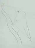 Brett Whiteley, Nectar (Addiction), Portrait of Paul Verlaine, 1979, Etching 58/75