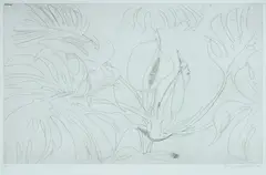 Brett Whiteley, Monstera Deliciosa, 1978, Etching 29/40