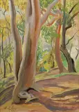 Adelaide Elizabeth Perry, Gums at Ashton Park, 1939, Oil on Board