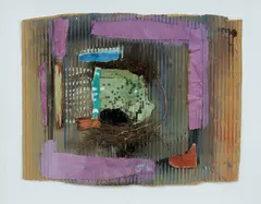Janet Laurence, Untitled, c.1980s, Mixed Media Assemblage