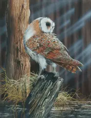 Paul Margocsy, Barn Owl, Gouache