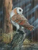 Paul Margocsy, Barn Owl, Gouache