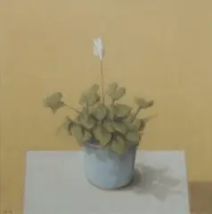 Peter Boggs, Still Life with Cyclamen, 2006, Oil on Paper