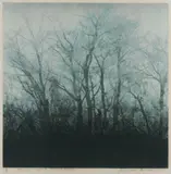 Joichi Hoshi, Trees, 1975, Woodcut with Metallic Leaf